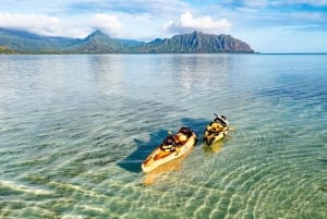 Oahu: Kaneohe: Självledd kajakpaddling på sandbank