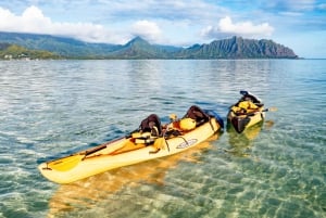 Oahu: Kaneohe Selvledende Sandbar Kajakoplevelse