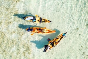 Oahu: Kaneohe Selbstgeführte Sandbank-Kajak-Erfahrung