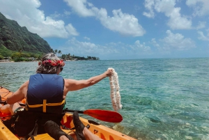 Oahu: Self-Guided Kayaking Tour to Mokoliʻi Islet