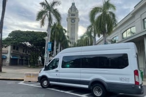 Oahu: Ko Olina eller Kapolei til lufthavnen Privat transfer