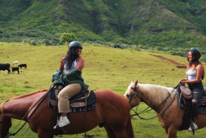 Oahu: Kualoa Hills and Valleys Horseback Riding Tour