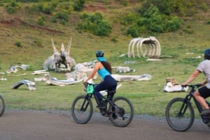 Oahu: Kualoa Electric Bike Tour