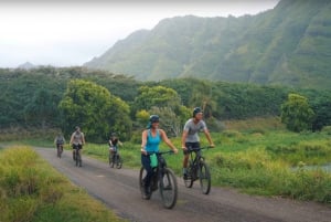 Oahu: passeio de bicicleta elétrica em Kualoa
