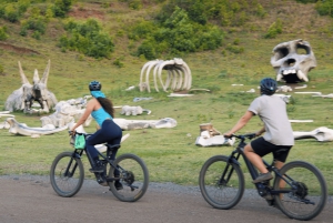 Oahu: Kualoa Electric Bike Tour