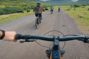 Oahu: Kualoa Electric Bike Tour