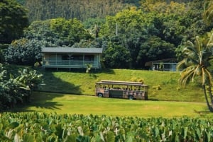 Oahu: Kualoa Farm och Secret Island Tour med Trolley