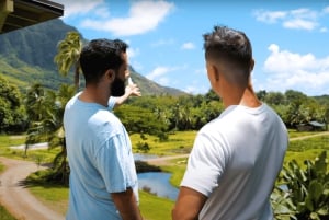 Oahu: Excursión en Tranvía por la Granja de Kualoa y la Isla Secreta