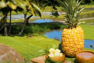 Oahu: Excursión en Tranvía por la Granja de Kualoa y la Isla Secreta