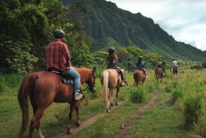 Oahu: Excursión a Caballo por las Colinas y Valles de Kualoa