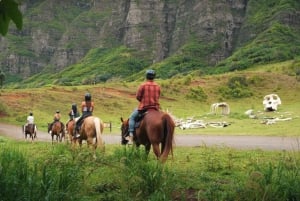 Oahu: tour a cavallo delle colline e delle valli di Kualoa