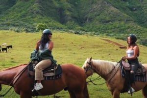 Oahu: Excursión a Caballo por las Colinas y Valles de Kualoa