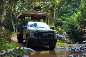 Oahu: Kualoa Open Air Jungle Expedition Tour
