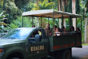 Oahu: Kualoa Jurassic Movie Set Adventure Tour