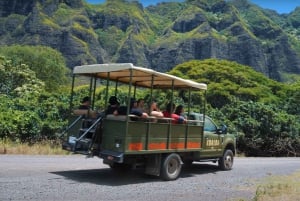 Oahu: Kualoa Jurassic Movie Set äventyrstur