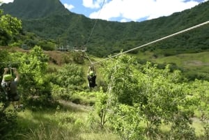 Oahu: Kualoa Jurassic Valley Zipline Tour