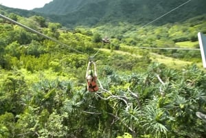 Oahu: Kualoa Jurassic Valley Zipline Tour