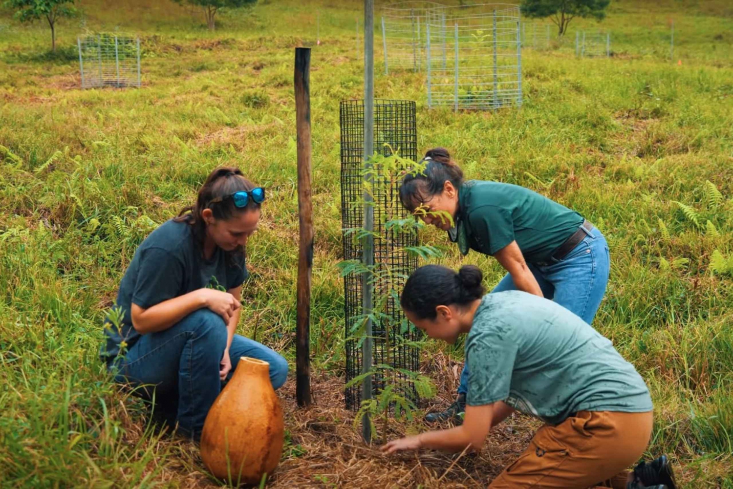 Oahu: Kualoa Ranch Malama Sustainability and Gardening Tour