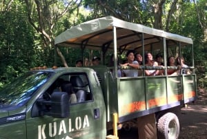 Oahu: Kualoa Movie Sites, Jungle, and Buffet Tour Package