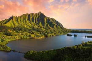 Oahu: Kualoa Movie Sites, Jungle, and Buffet Tour Package