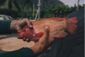 Oahu: Kualoa Movie Sites, Jungle, and Buffet Tour Package