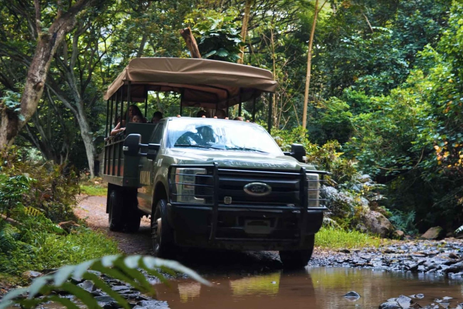 Оаху: Экспедиционный тур по джунглям Куалоа под открытым небом