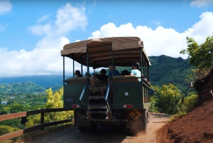 Oahu: Kualoa Open Air Jungle-expeditietour