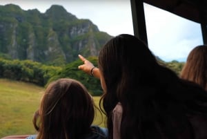 Oahu: Excursión Expedición a la Jungla al Aire Libre de Kualoa