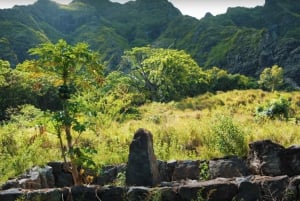 Oahu: Kualoa friluftstur med djungelexpedition