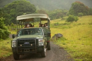 Oahu : Expédition en plein air dans la jungle de Kualoa