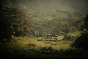 Oahu : Expédition en plein air dans la jungle de Kualoa