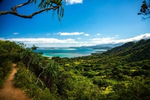 Oahu : Expédition en plein air dans la jungle de Kualoa