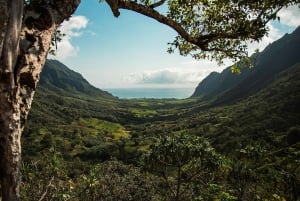 Oahu : Expédition en plein air dans la jungle de Kualoa