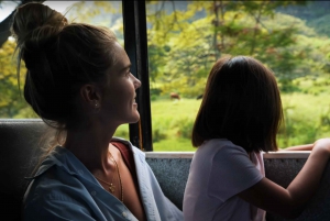 Kaneohe: Kualoa Ranch Hollywood Film Locations Tour by Bus