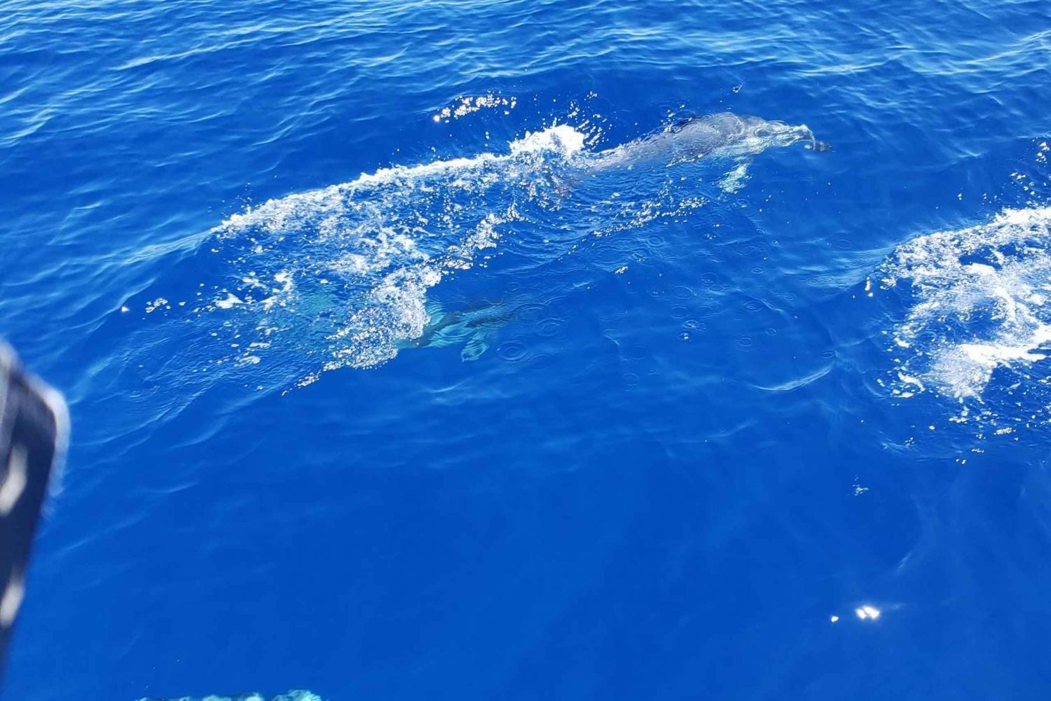 Oahu: Luxury Day Sailboat Charter