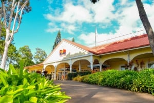 Oahu: Majestic Full-Day Circle Island Tour