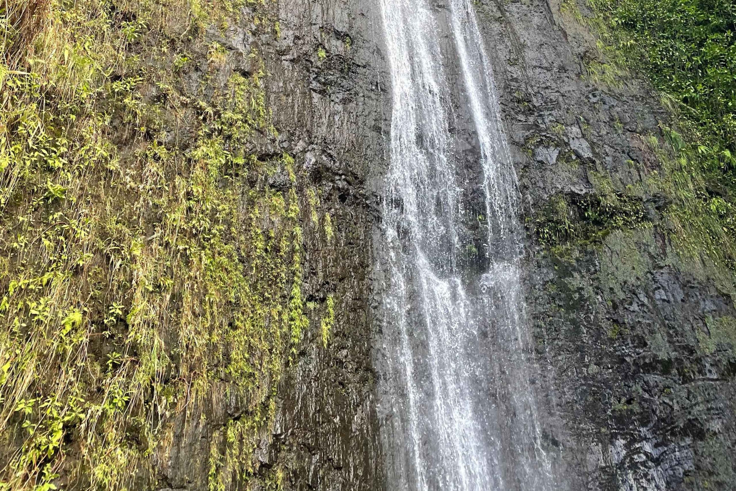 Oahu: Vandretur til Manoa Falls og stranddag på østsiden