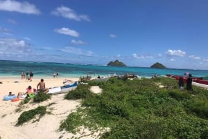 Oahu: Vandring i Manoa Falls och stranddag på östra sidan