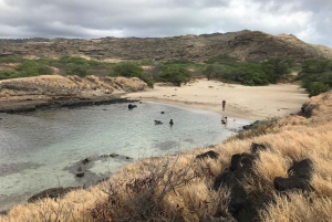 Oahu: Vandretur til Manoa Falls og stranddag på østsiden