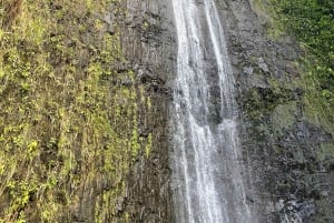 Oahu: Vandretur til Manoa Falls og stranddag på østsiden