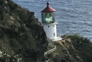 Oahu: Vandretur til Manoa Falls og stranddag på østsiden