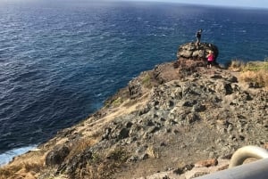 Oahu: Vandretur til Manoa Falls og stranddag på østsiden