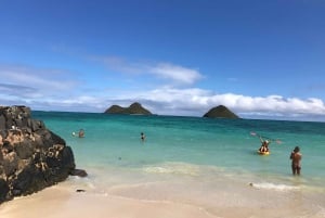 Oahu: Vandretur til Manoa Falls og stranddag på østsiden