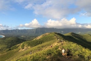 Oahu: Manoa Falls vaellus ja itäpuolen rantapäivä