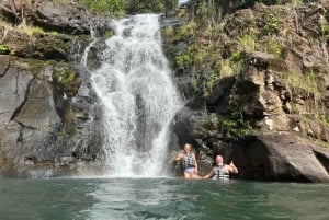 Oahu: Vandring i Manoa Falls och stranddag på östra sidan