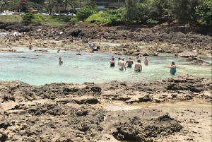 Oahu: Fottur til Manoa Falls og stranddag på østsiden av øya