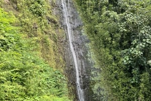 Oahu: Wanderung zu den Manoa Falls und Strandtag an der Ostseite