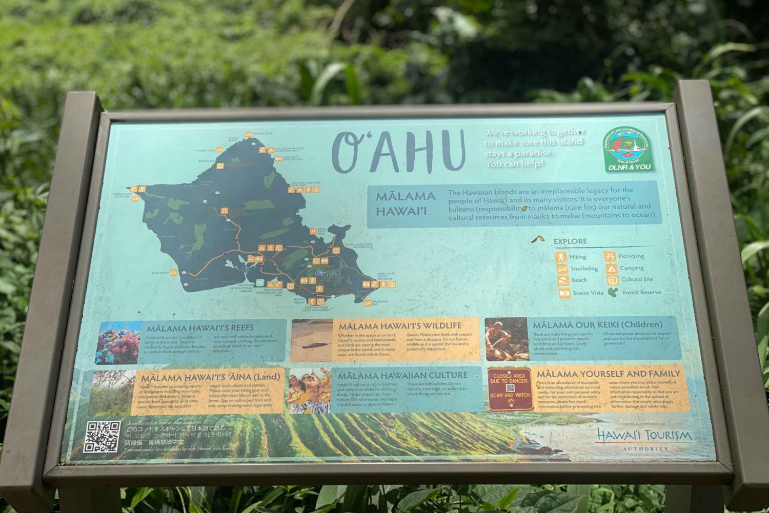 Oahu: Mānoa Falls Trail Hiking Shuttle