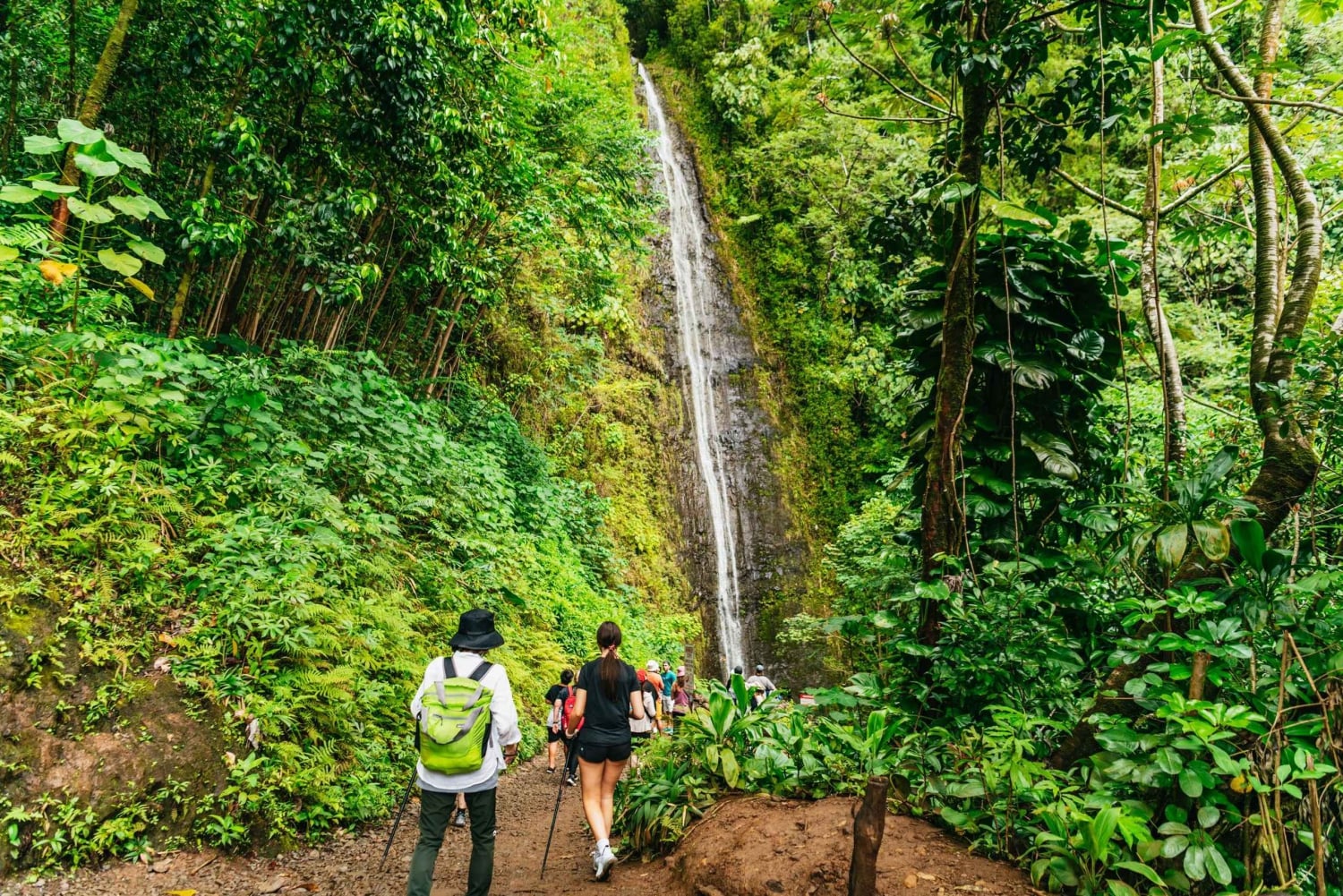 Oahu : Randonnée aux chutes d'eau de Manoa Falls avec déjeuner et transferts