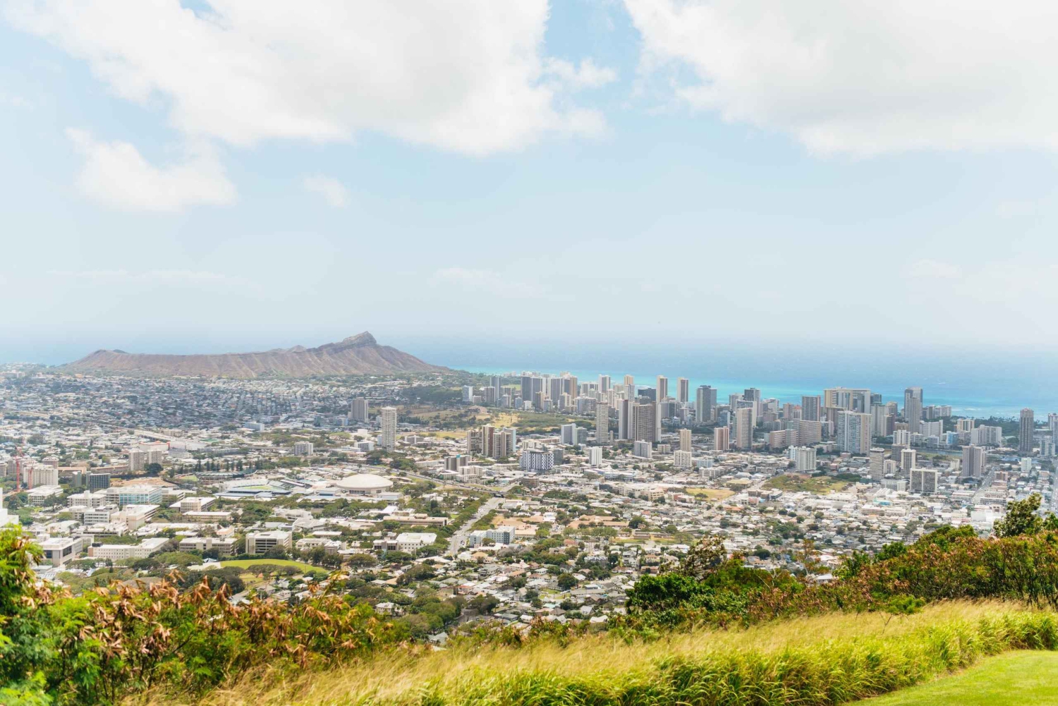 Oahu : Randonnée aux chutes d'eau de Manoa Falls avec déjeuner et transferts